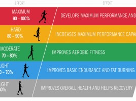 training zone diagram
