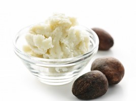 shea maslac
