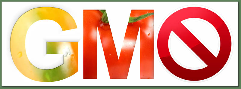 gmo free
